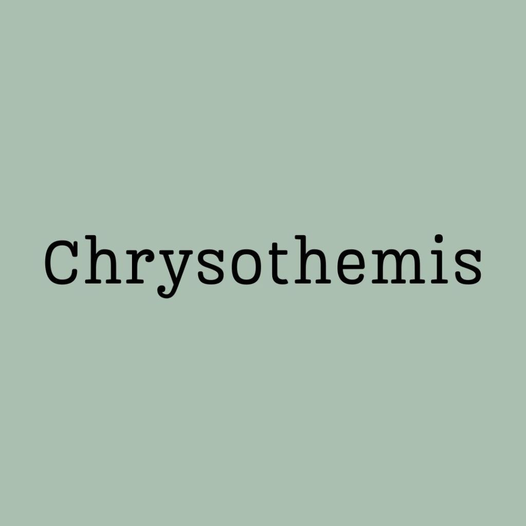 Green background with 'Chrysothemis' written in black typewriter style font